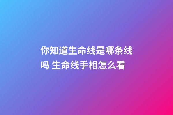 你知道生命线是哪条线吗 生命线手相怎么看